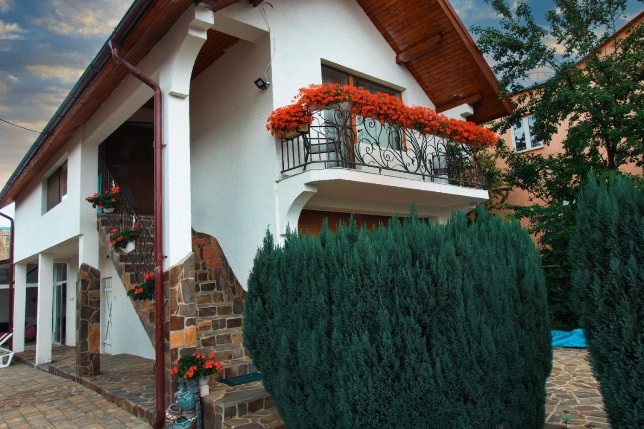 Casa Ade Villa Ocna Sugatag Exterior photo