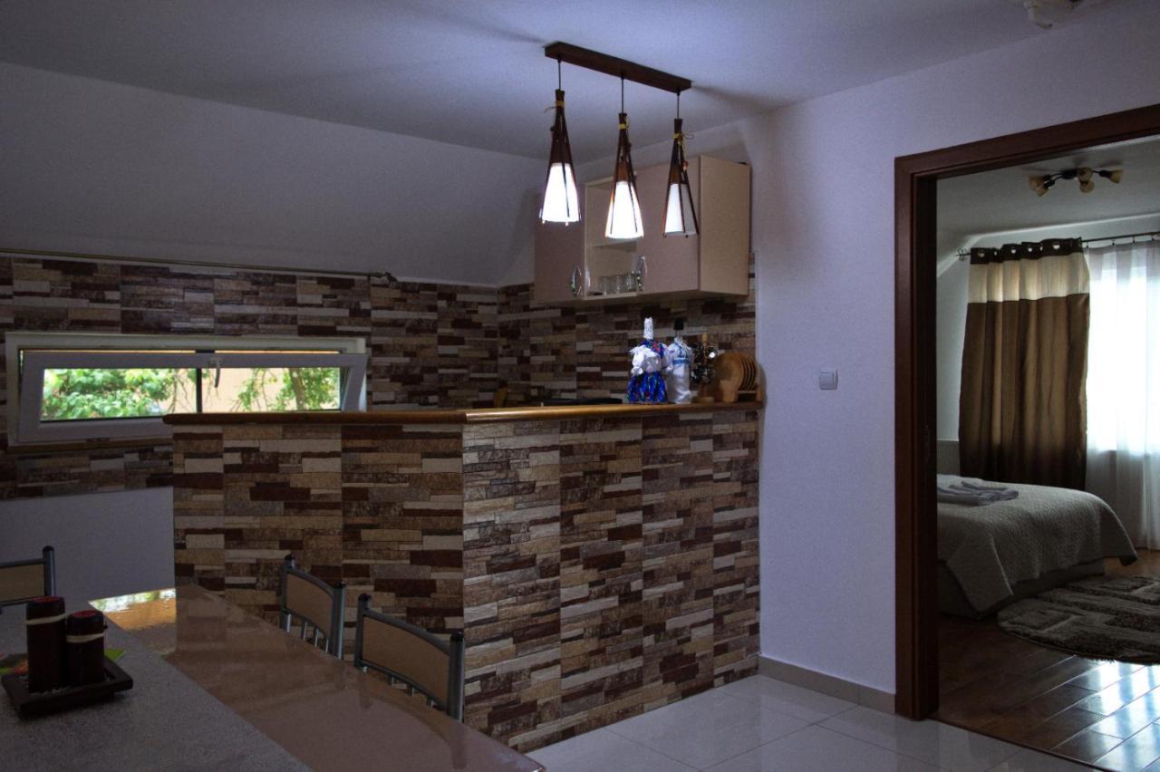 Casa Ade Villa Ocna Sugatag Exterior photo